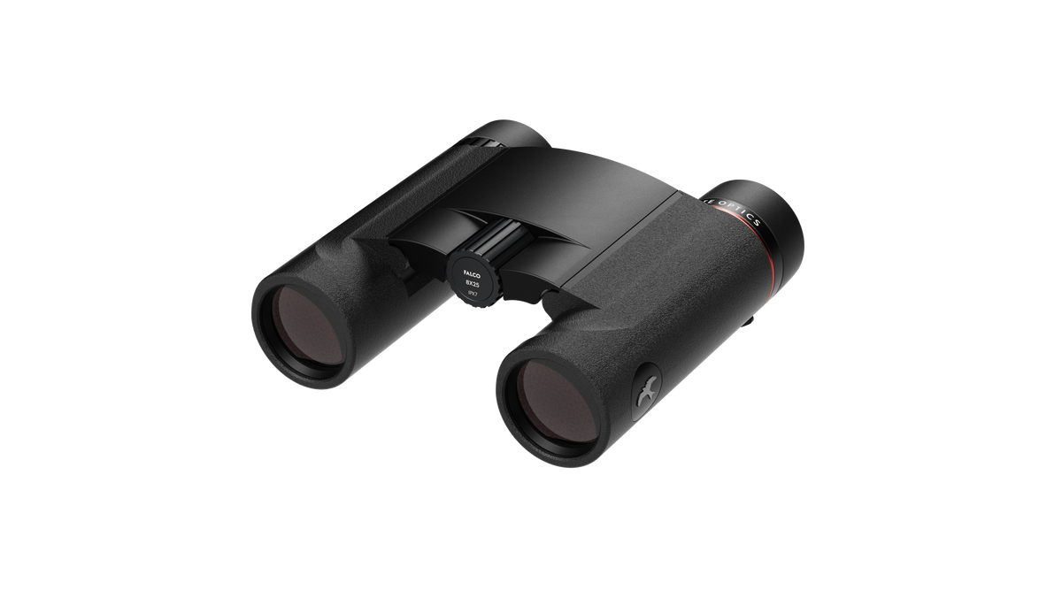 Binoclu Kite FALCO 8X25