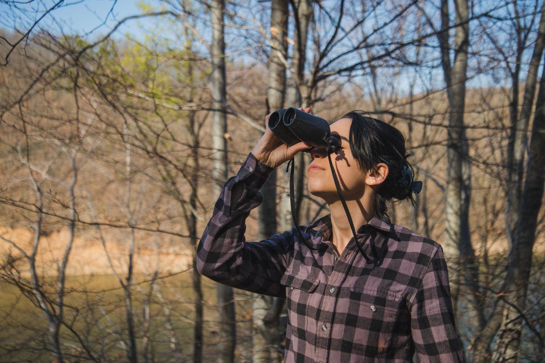 Observer les oiseaux migrateurs en Automne