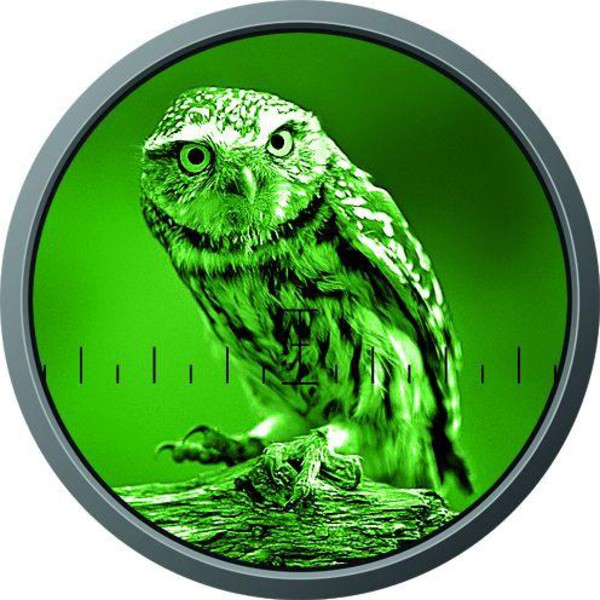 Monocular ZEISS Victory viziune nocturnă 5.6x62 NV 