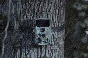 Cameră de vânătoare Camouflage EZ60 Wi-Fi - Trimitere pe smartphone 