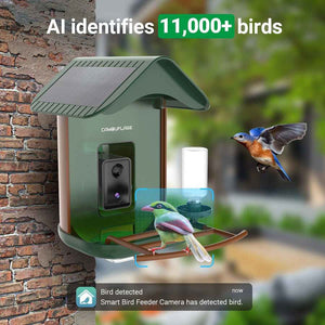 Hranitoare inteligentă pentru păsări cu detectare a speciilor prin IA 
