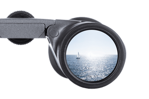 Binocluri Steiner BluHorizons 8X22 