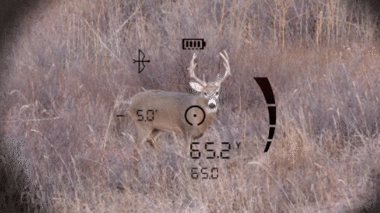 Binoclu telemetric Bushnell FUSION X 10x42 