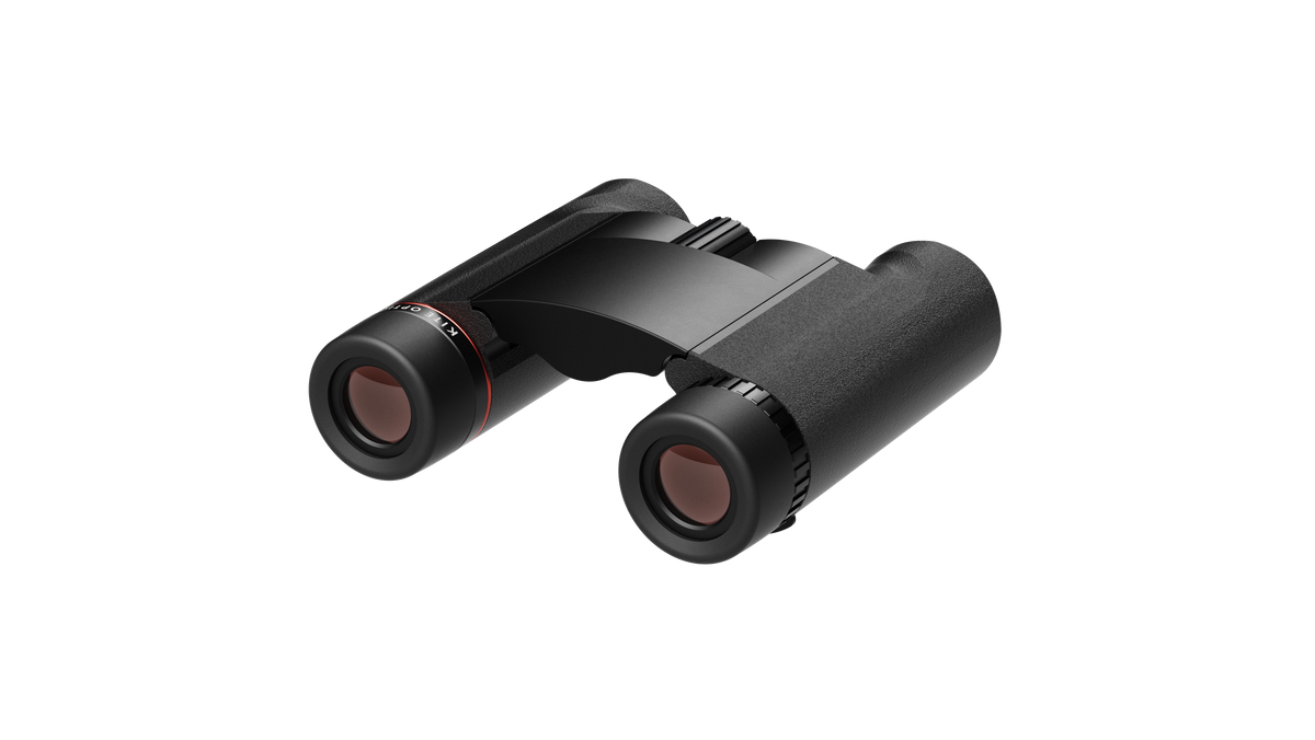 Binocluri Kite Falco 10X25 