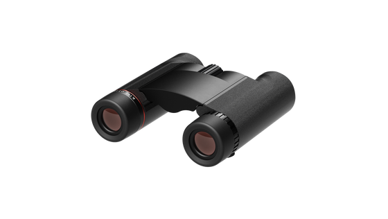 Binocluri Kite Falco 10X25 
