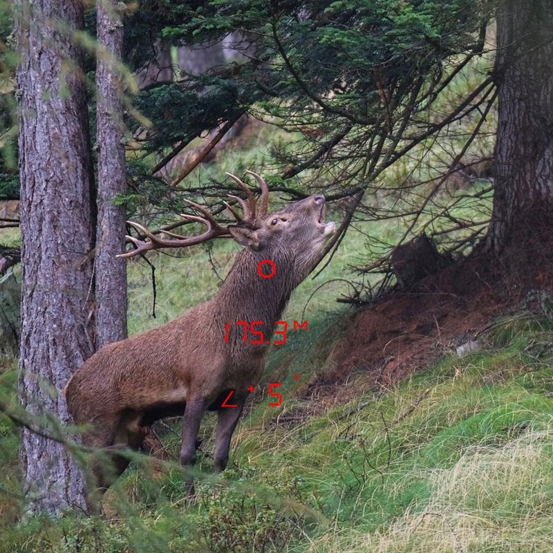 Binoclu GPO cu telemetru Rangeguide 3200 10x40 