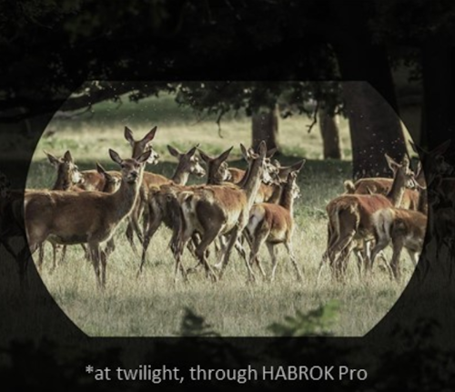 binocluri cu vedere termică Hikmicro habrok HQ35LN 4k 