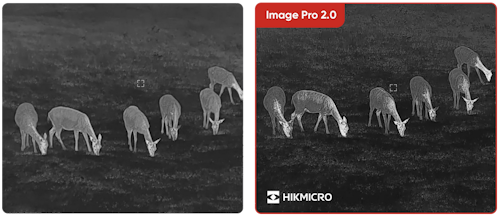 Binoclu cu vedere termică HIKMICRO Habrok PRO HQ50LN 