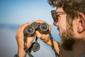 Binoclu Nikon Monarch M5 8X42 
