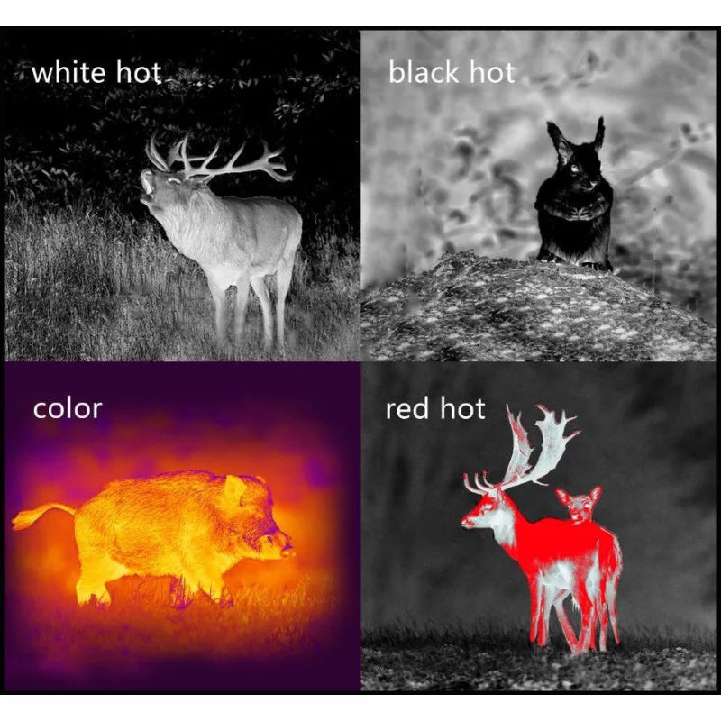 Monocular termic Pard 25 mm - 12µm 384 x 288px Wifi 