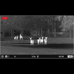 Monoculaire PULSAR thermique AXION XG35 compact et connecté