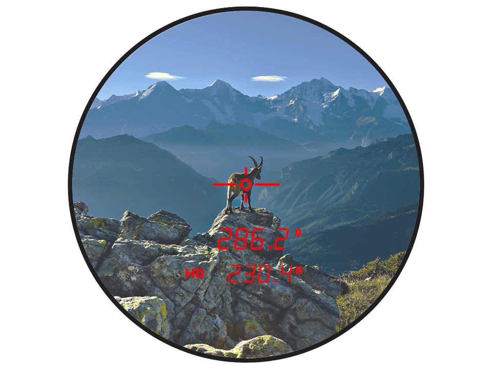 Jumelles Steiner Ranger LRF 10X42