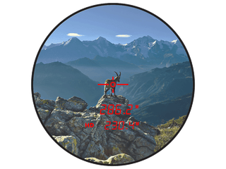 Jumelles Steiner Ranger LRF 10X42