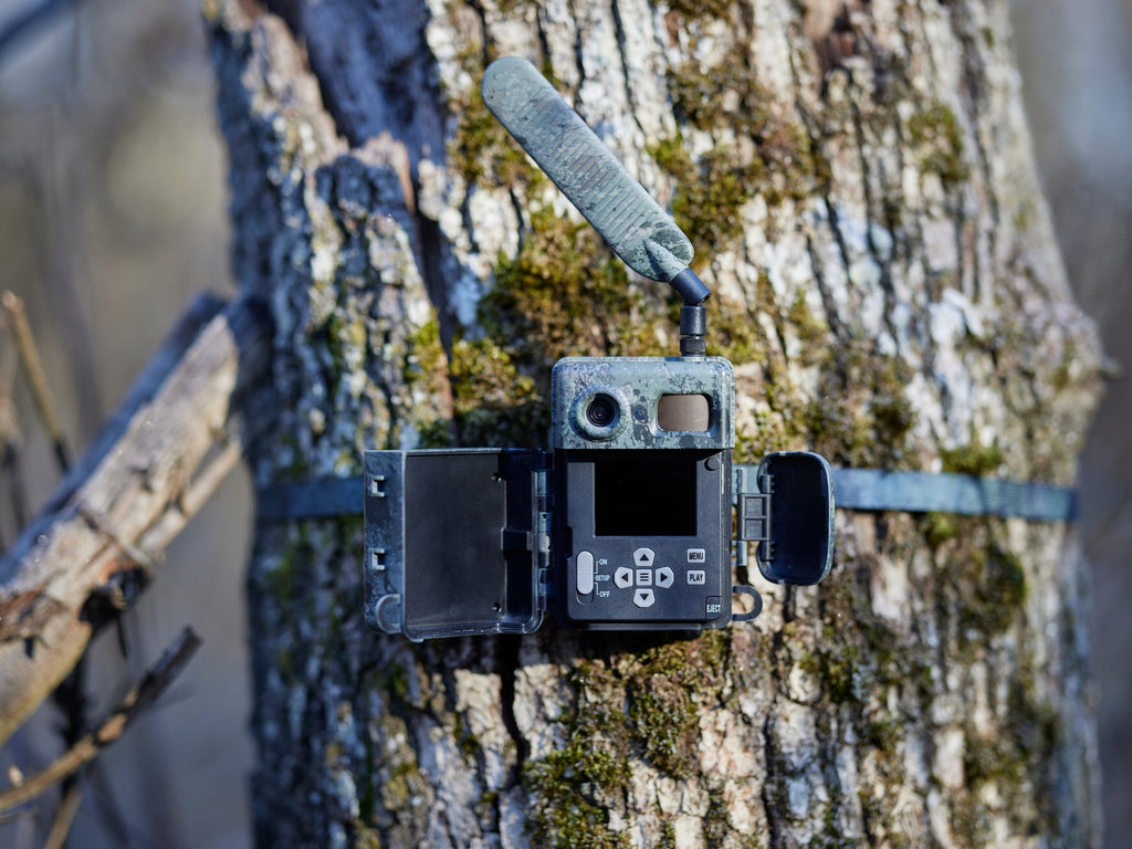 Capcană fotografică ZEISS Secacam 7 conectată 