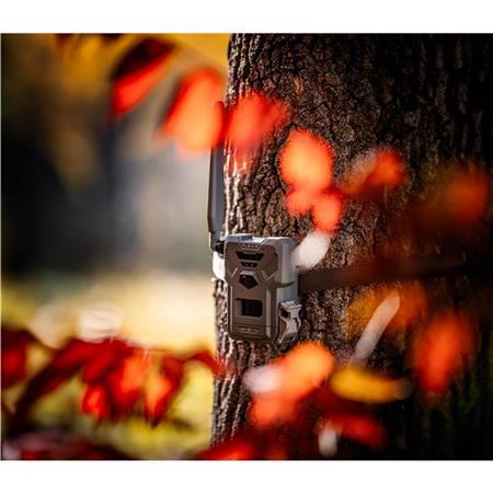 Camera Spypoint Flex-M 