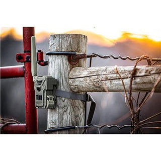 Camera Spypoint Flex-M