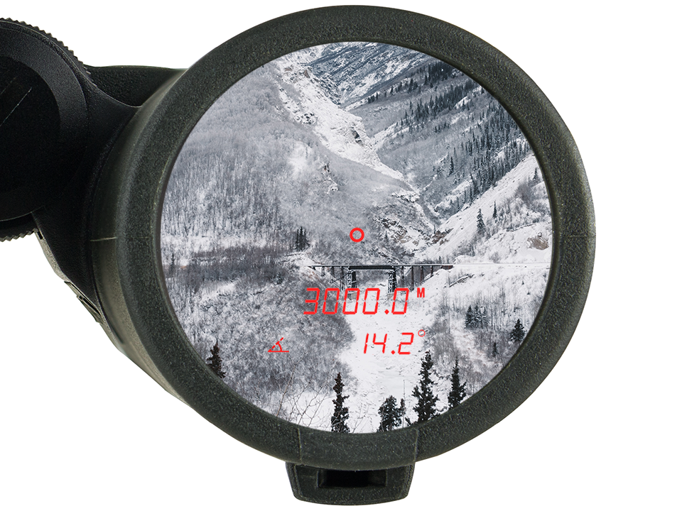 Binoclu Steiner eRanger LRF 10x42 cu telemetru integrat 