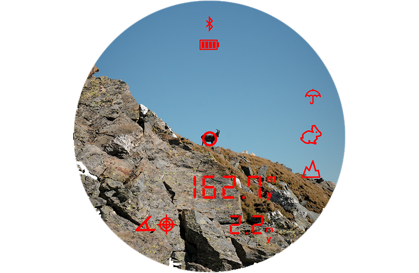 Binoclu Steiner eRanger LRF 10x42 cu telemetru integrat 