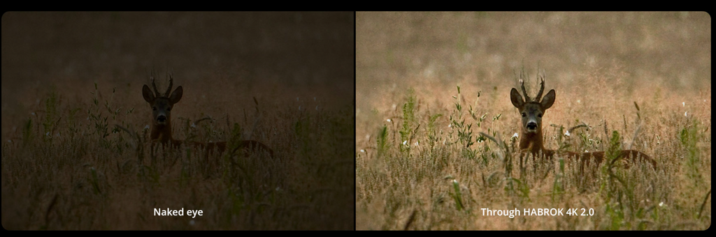 Binocluri termice Hikmicro HABROK 4K HE25L 2.0 