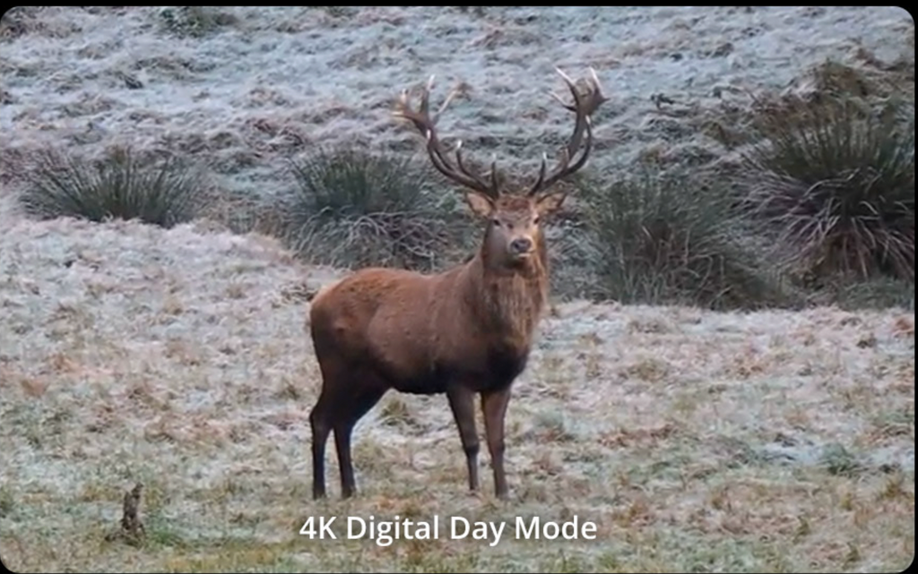 Binocluri termice Hikmicro HABROK 4K HE25L 2.0 