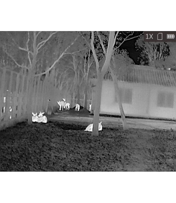 Monocular termic Hikmicro Lynx LH15 Pro 2.0 