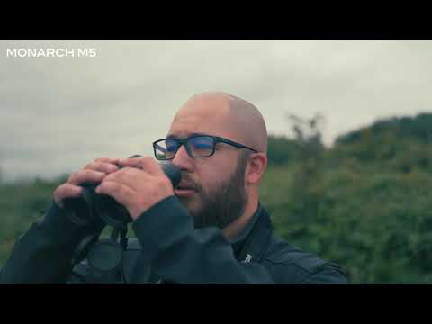 Binoclu Nikon Monarch M5 8X42 