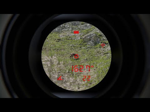 Binoclu Steiner eRanger LRF 10x42 cu telemetru integrat 