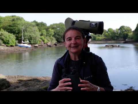 Binoclu stabilizat Kite APC 12×42 