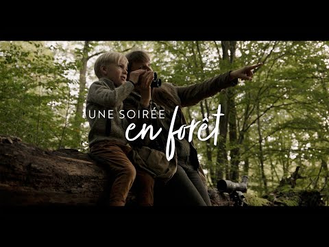 Lunete terestre Kite Optics KSP 80 HD 25-50X80 