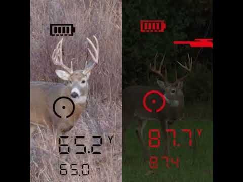 Binoclu telemetric Bushnell FUSION X 10x42 