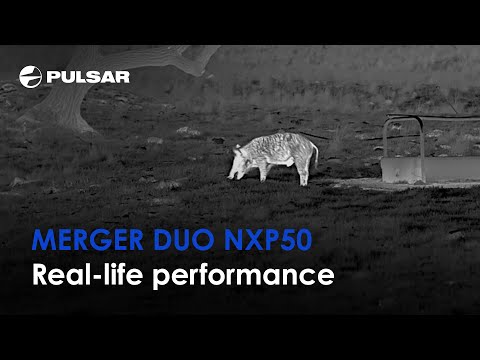 Binoclu Pulsar multi-canal cu vizionare termică și nocturnă Merger DUO NXP50 
