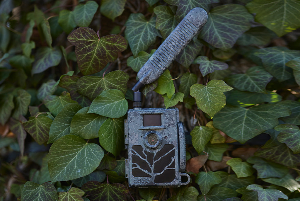 Capcană fotografică ZEISS Secacam 5 conectată 