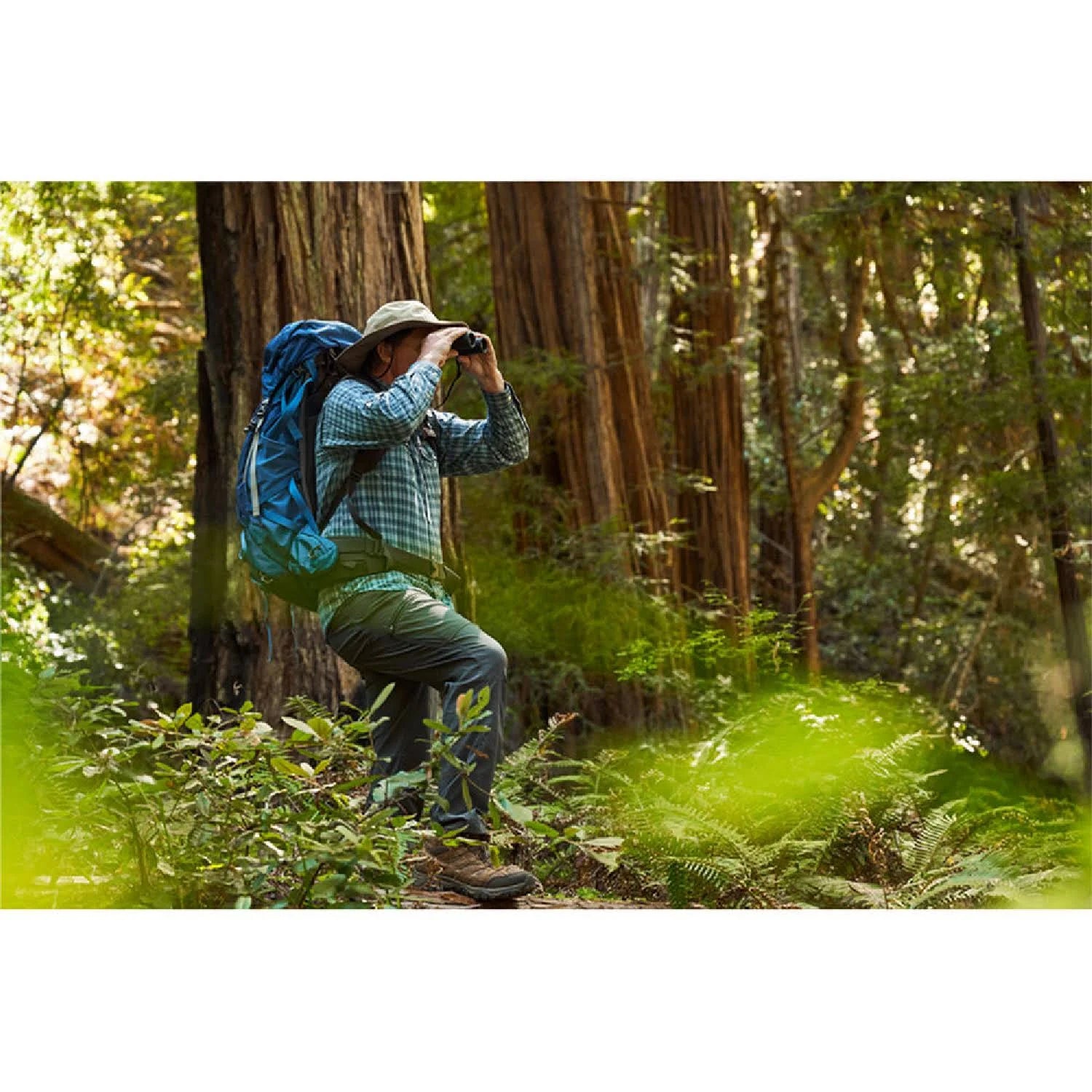 Binoclu Nikon Monarch M5 12X42 