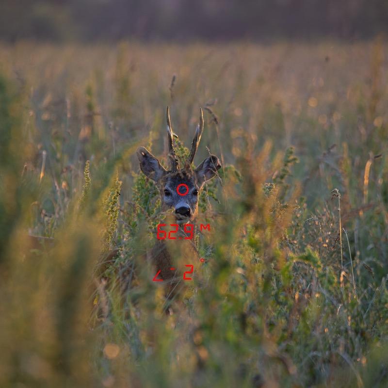 Binoclu GPO cu telemetru Rangeguide 2800 8x32 