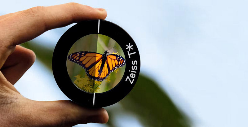 Monocular ZEISS Victory 8X20 T* 