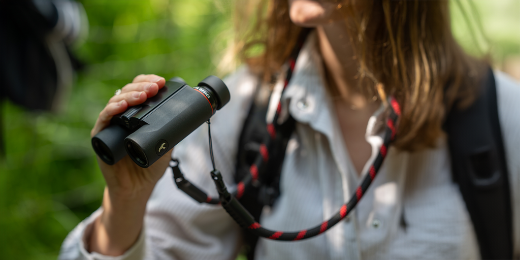 Binoclu Kite FALCO 8X25 